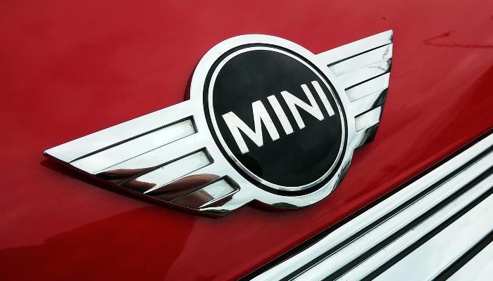 Mini logo